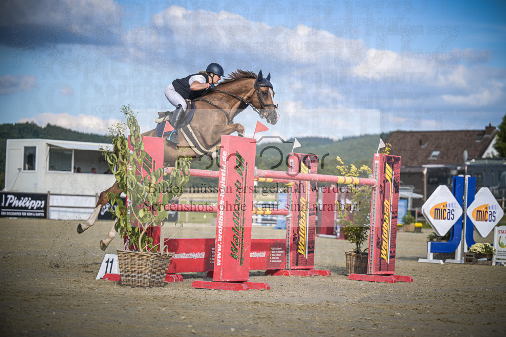 DOS_2831 | Entdecke hochwertige Reitturnierfotos von Foto Oger. Professionell, emotional und authentisch – jetzt Lieblingsmomente im Shop bestellen.Deutschlandweite Turnierfotografie. - Realisiert mit Pictrs.com