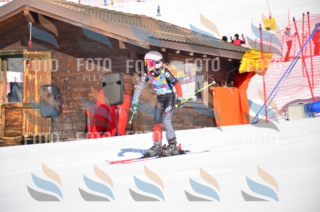 VR4_8910 | holidayphoto