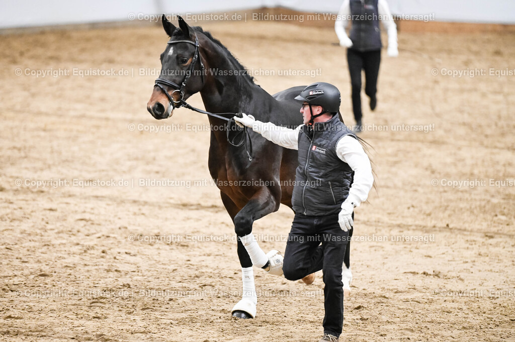 20260307_Hengstvorstellung-Marbach_0300 | equistock