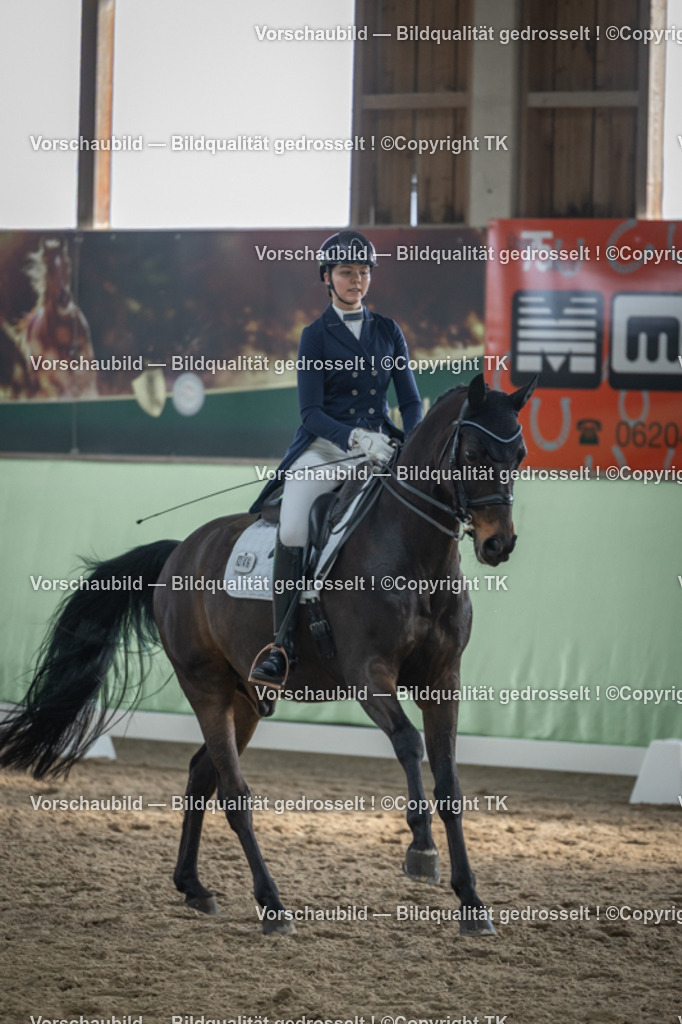 _D5A6564 | Emotionale Pferde- & People-Fotografie rund um Heidelberg, Leimen & Umgebung. Natürliche Fotos von Pferd, Mensch & Familie. Jetzt Termin sichern!