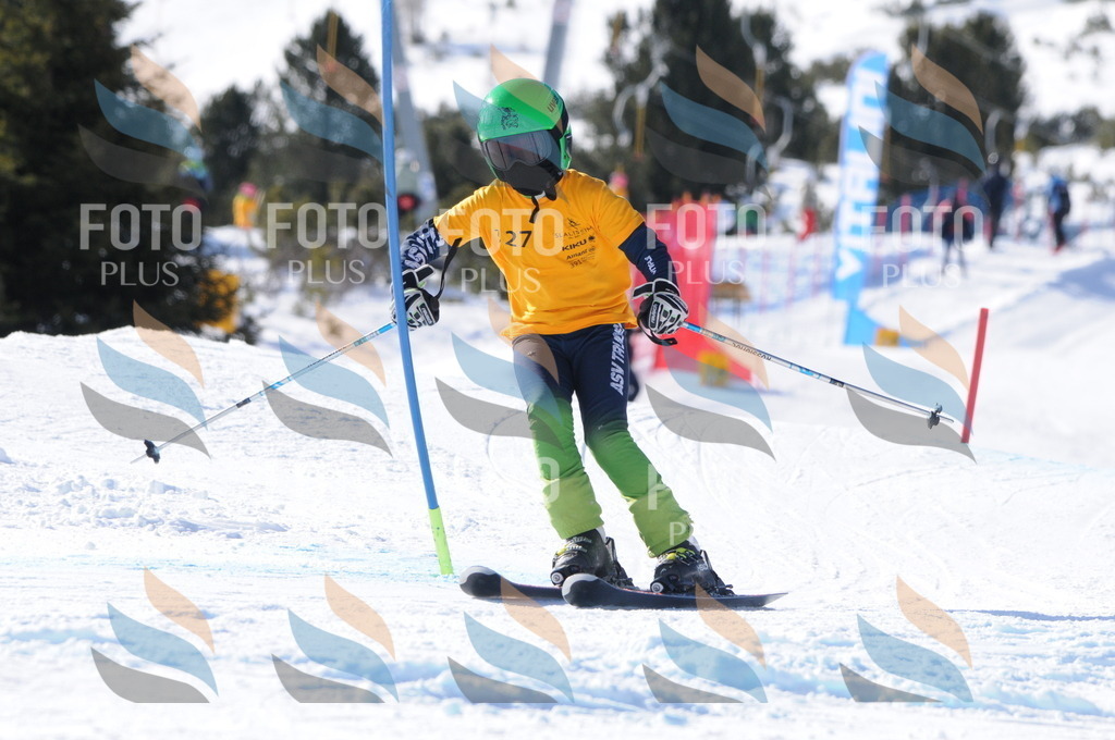 C7197 | holidayphoto