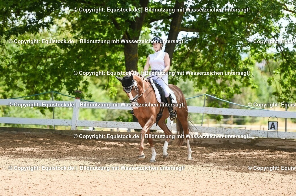 20230716_03_Dressurprfg. Kl.L - Tr._0528 | equistock