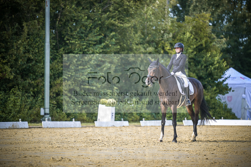 DOS_8659 | Entdecke hochwertige Reitturnierfotos von Foto Oger. Professionell, emotional und authentisch – jetzt Lieblingsmomente im Shop bestellen.Deutschlandweite Turnierfotografie. - Realisiert mit Pictrs.com