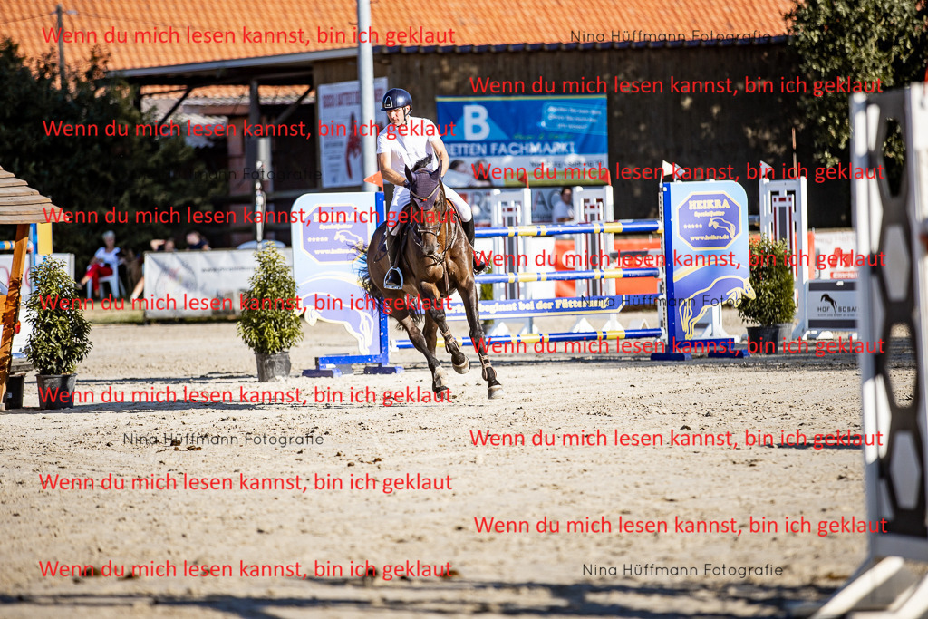 BK1A8267 | Turnierbilder Turnierfotos Nina Hüffmann Turnierfotografie Pferdefotografie Tierzeichnung Haustierzeichnung Pferdezeichnung Hundezeichnung Videograf  - Realisiert mit Pictrs.com