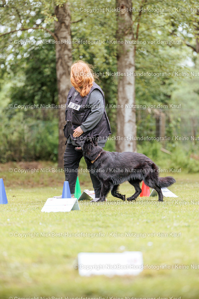 RO-Blumenthal-2026-Nickbest-Hundefotografie-3308 | Dein Hund! Dein Moment! Deine Erinnerungen! Hundefotografie in Bremen Blumenthal. Ich fange die besonderen Momente deines Vierbeiners ein – ob Indoor mit Blitzanlage oder in der freien Natur. Sicher dir dein Moment und dein Termin für eure Erinnerungen.