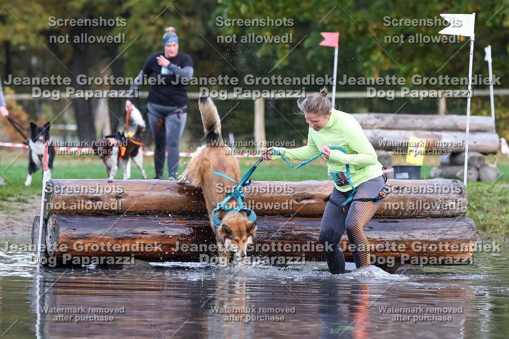 Dog Paparazzi - Strongdog 10-25-6694 | Dog Paparazzi Jeanette Grottendiek Fotografie & Videografie