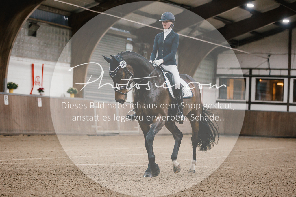 3I6A5819 | Stimmungsvolle Portraits und Reitsportfotografie im Ruhrgebiet und im Münsterland.

Pferdefotografie, Hundefotografie, Tierfotografie, Reportagen, Portraits von Tier und Mensch, Turnierfotografie in Bochum, Recklinghausen, Marl, Haltern am See, Dülmen.. - Realisiert mit Pictrs.com