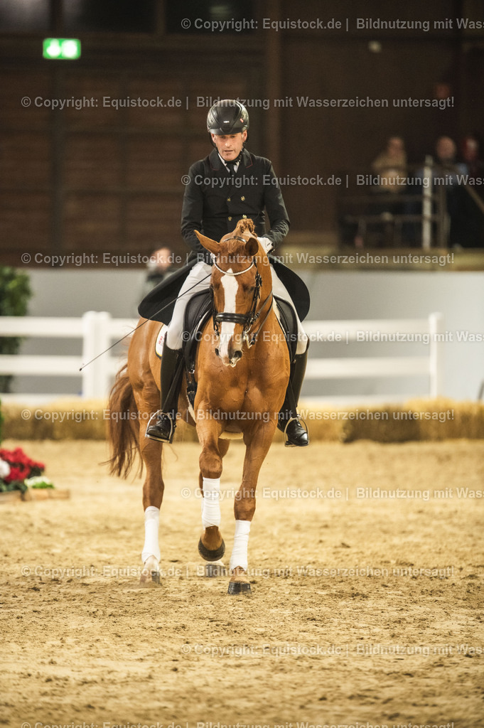 20240302_Hengstvorstellung_Marbach_TOMsPiC_0891 | equistock