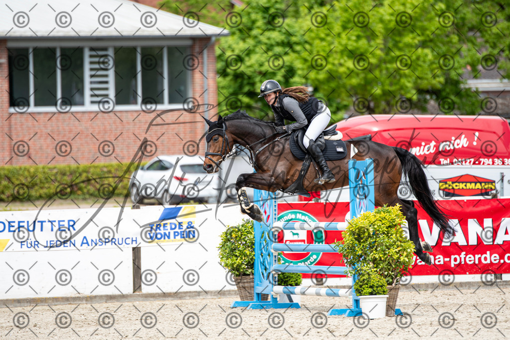 KPT_5497 | andre_photographic