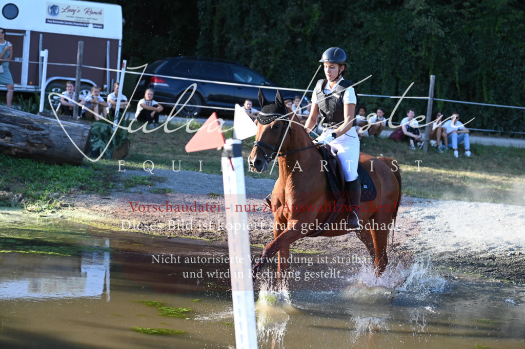 DSC_9058 | Pferde- und Turnierfotografie in Westsachsen. Pferdeportraits, Auftragszeichnungen und intuitive Kunst.