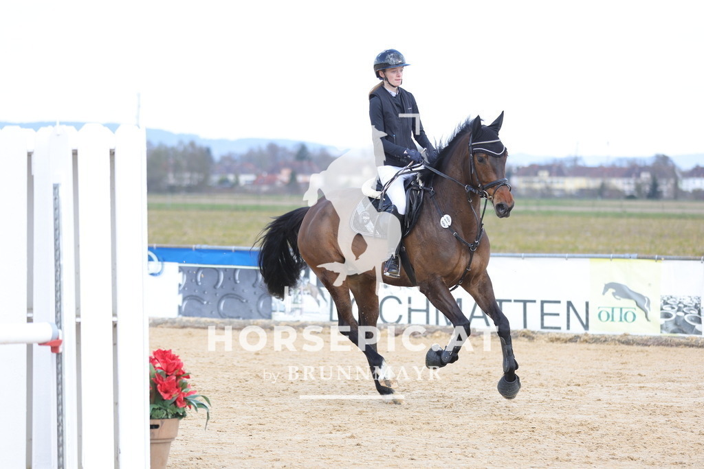 0P6A7215 | Willkommen bei Brunnmayr - Design & Fotografie – Ihrem Spezialisten für Reitturniere und Pferdeveranstaltungen in Oberösterreich, Salzburg und Bayern! Seit über 17 Jahren sind wir leidenschaftlich dabei.