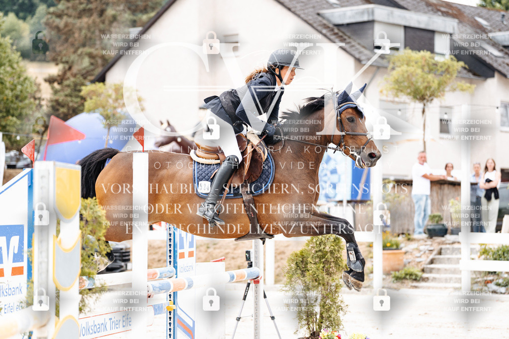 CK906254 | Turnierfotografie Pferdefotografie Trier Rheinland-Pfalz Pferdesport Reitsport Tierfotografie Sportfotografie Pferdevideo Pferdevideografie Equestrianvideography equestrianphotography  - Realisiert mit Pictrs.com