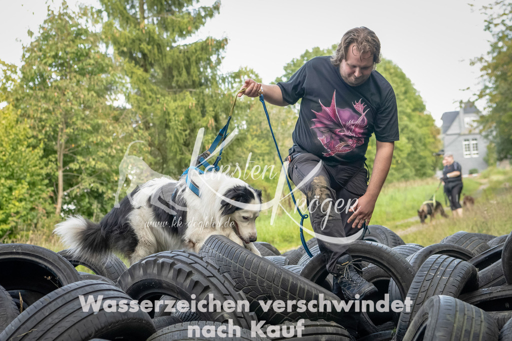 1501_ZZ90848-Bearbeitet | kk-dogfotos