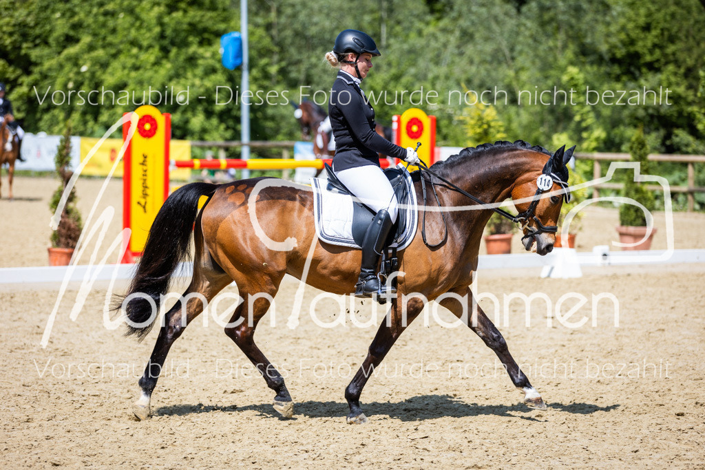 Donop24-L-Dre-104 | MomenTaufnahmen Pferdesportfotos