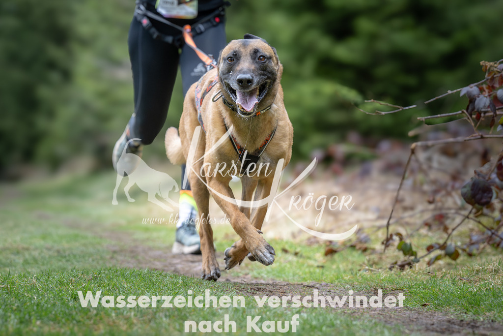 1304_ZZ93508 | kk-dogfotos