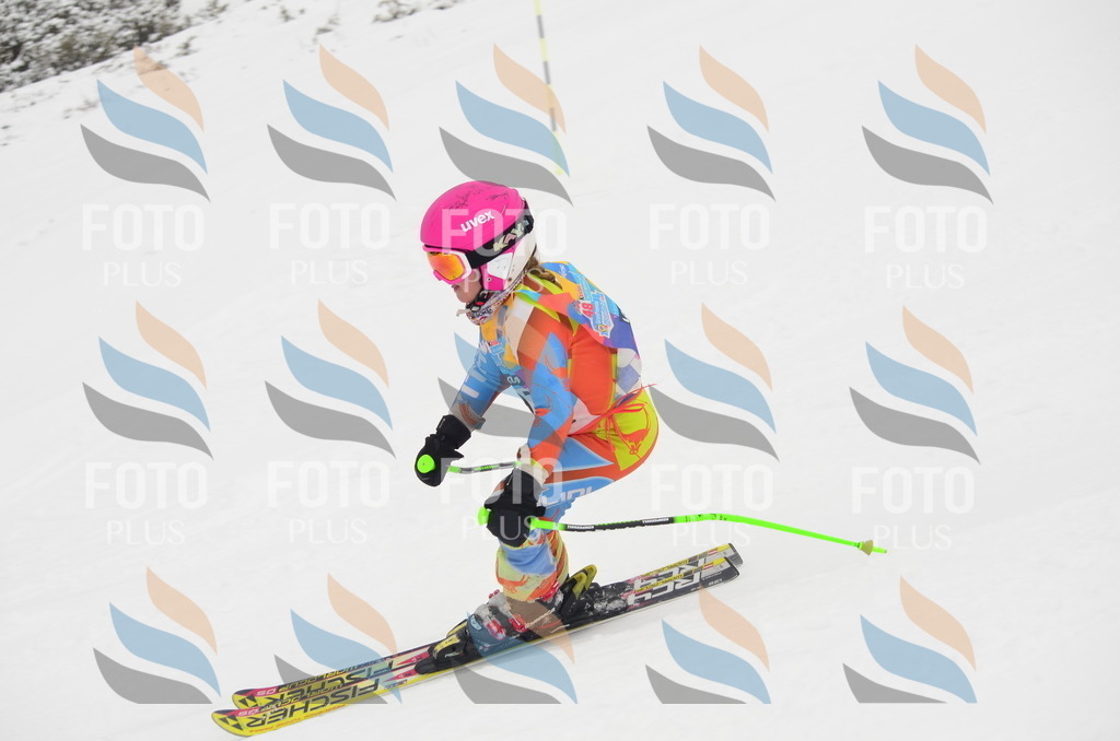 C1360 | holidayphoto