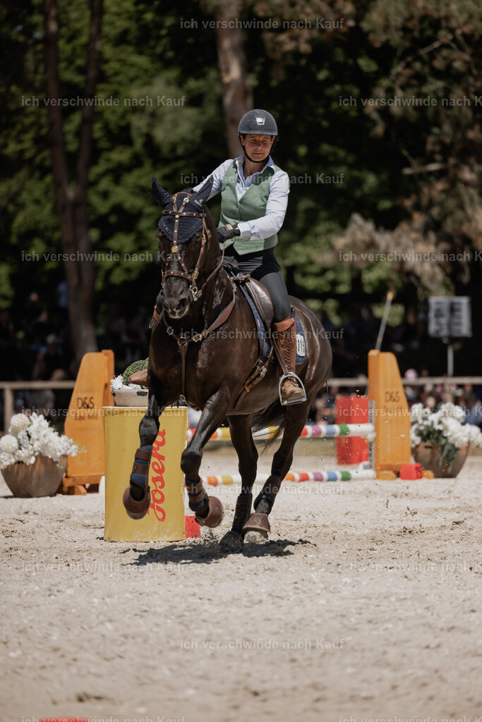 WE_SP_Stoib_315_PI2025_1849 | Pferd International München 2025
