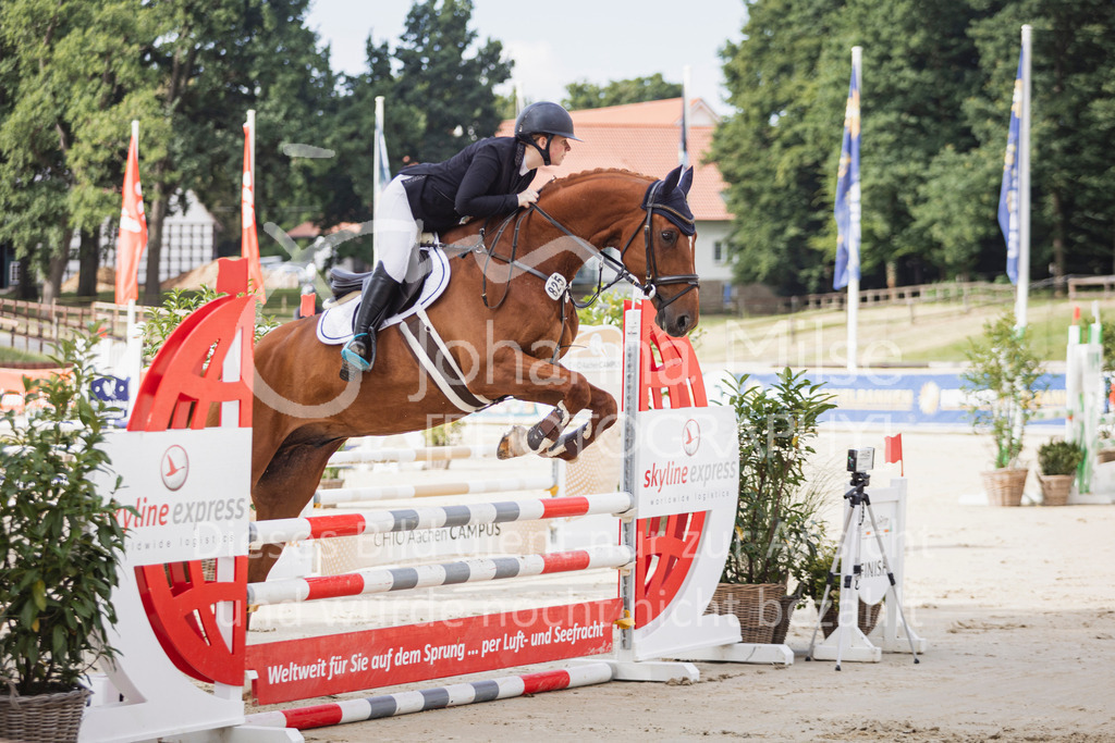 250710_BHO_Stil-A1-1-118 | Deine schönsten Turniermomente als professionelle Fotos! Entdecke hochwertige Pferdesport-Fotografie im Online-Shop. Jetzt Fotos finden & bestellen!