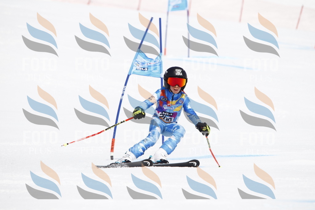 _U3G5205 | holidayphoto