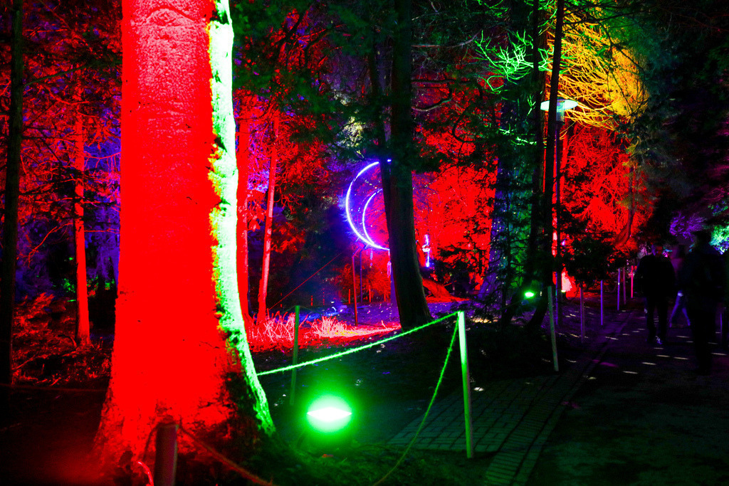 Parkleuchten_GrugaEssen24_25 | Bildergalerie von Sport-Ereignissen aber auch von weiteren spannenden Dingen - nicht nur vom Niederrhein. In Anlehnung an den bekannten Spruch von Hanns Dieter Hüsch heißt das Motto: "Niederrhein ist überall".  - Realisiert mit Pictrs.com