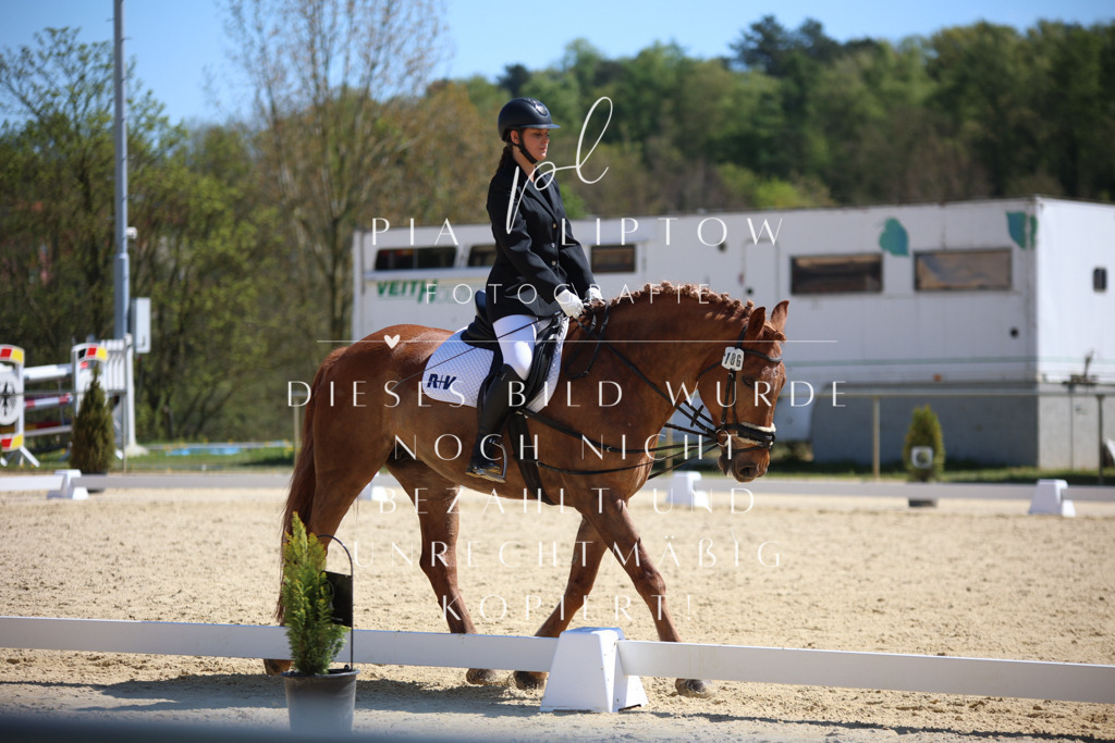 IMGT0998 | pl-fotografie