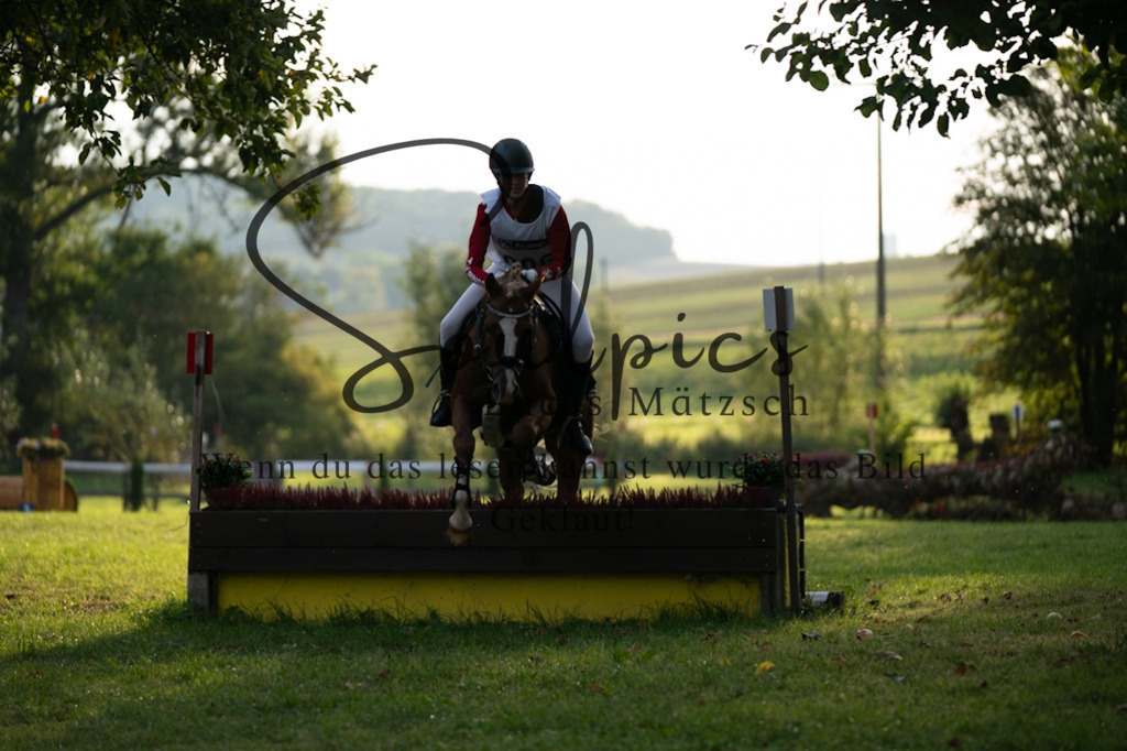 A7V02874 | Pferdefotograf