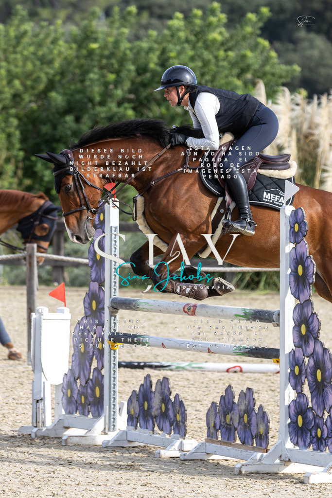 IMG_4032 | s-jay-photography - Realisiert mit Pictrs.com