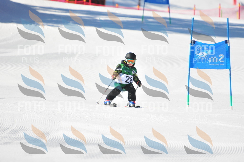 C2026 | holidayphoto