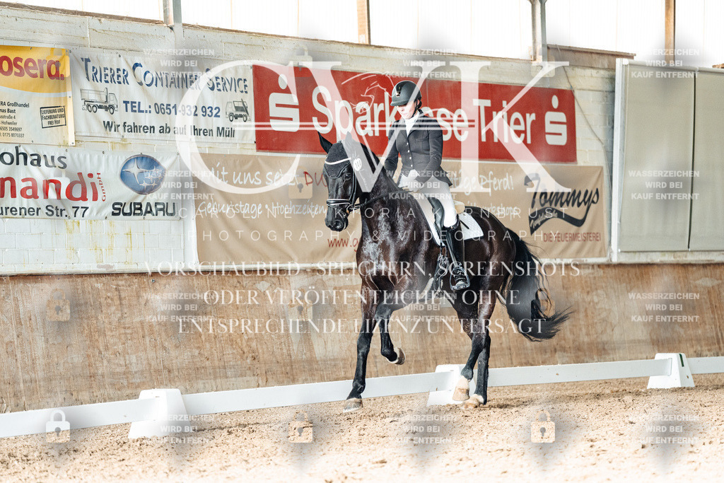 CK902884 | Turnierfotografie Pferdefotografie Trier Rheinland-Pfalz Pferdesport Reitsport Tierfotografie Sportfotografie Pferdevideo Pferdevideografie Equestrianvideography equestrianphotography  - Realisiert mit Pictrs.com