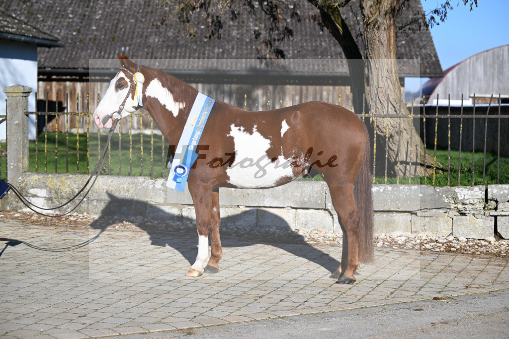 Kat-Nr. 10 ARH Like One Marvel v. One Gun_Reicherzer_49250529 | hf-fotografie - Realisiert mit Pictrs.com