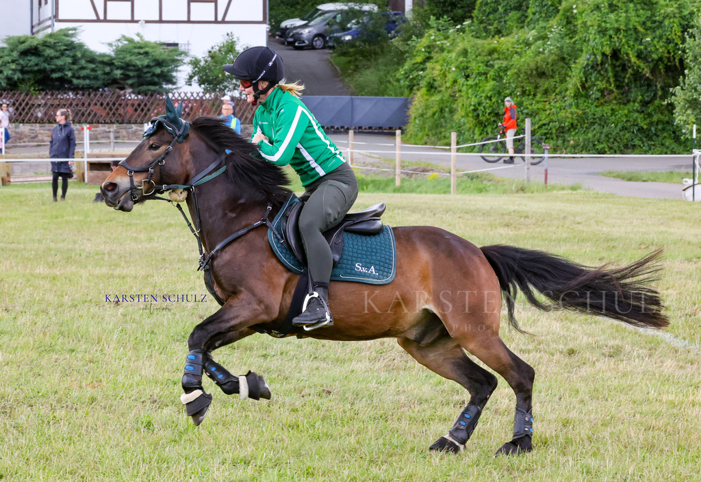 1B3A4462 | Reitsport Reiten