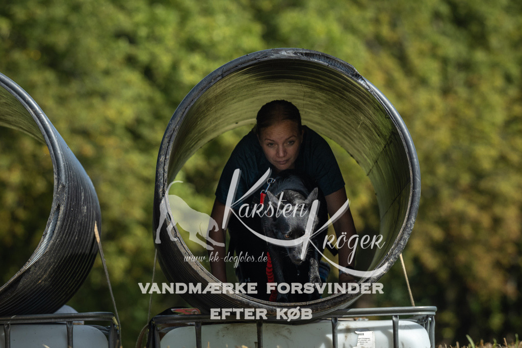 1302_ZZ91810 | kk-dogfotos