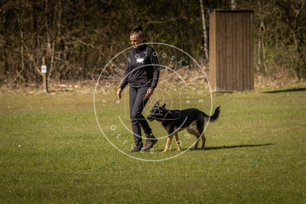 Pfotenfotografie_DV3A0467 | Hundefotografie, Tierfotograf, Pfotenfotografie, Fotoshooting Hund, Hunde Portrait, Hundesport, Hundeportraits, Heideshooting, Hunde, Sportfotograf, Hundefotograf, Turnierhundsport, THS,  - Realisiert mit Pictrs.com