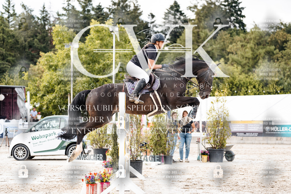 CK903856 | Turnierfotografie Pferdefotografie Trier Rheinland-Pfalz Pferdesport Reitsport Tierfotografie Sportfotografie Pferdevideo Pferdevideografie Equestrianvideography equestrianphotography  - Realisiert mit Pictrs.com