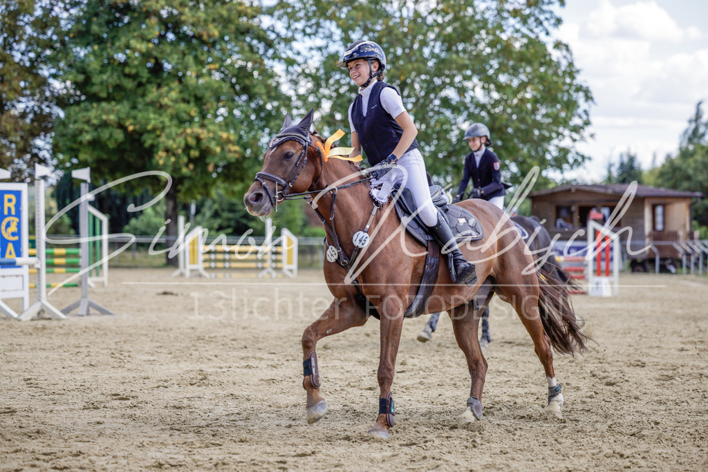 20250906-_3LI6623 | Tierfotografie Pferde, Hunde, Katzen, Haustiere.
Turnierfotografie Reitturniere, Reiten, Springreiten, Dressur in Hanau, dem Main-Kinzig-Kreis und dem Rhein-Main- Gebiet um Frankfurt