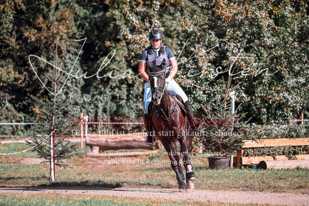 DSC_0600 | Pferde- und Turnierfotografie in Westsachsen. Pferdeportraits, Auftragszeichnungen und intuitive Kunst.