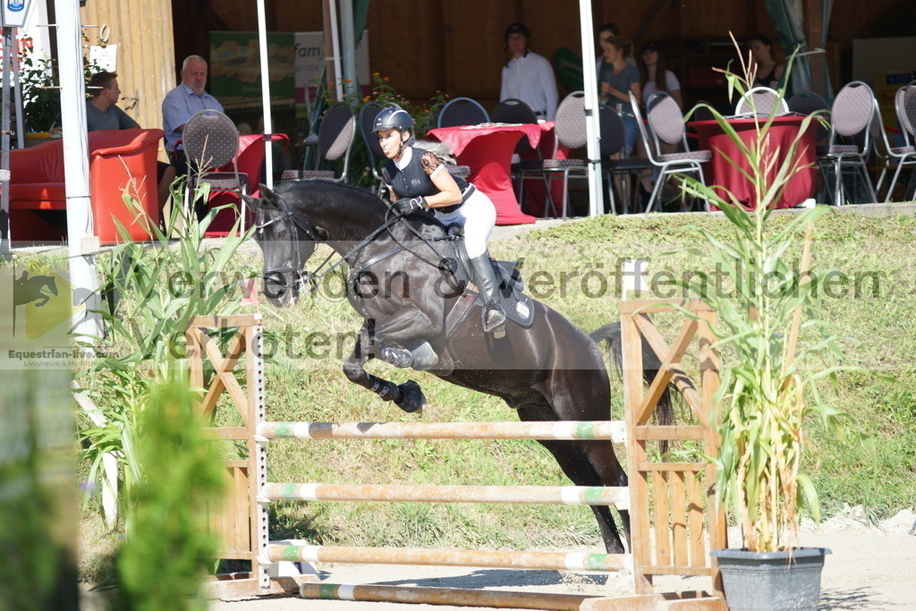 DSC02339 | equestrian-live-com
