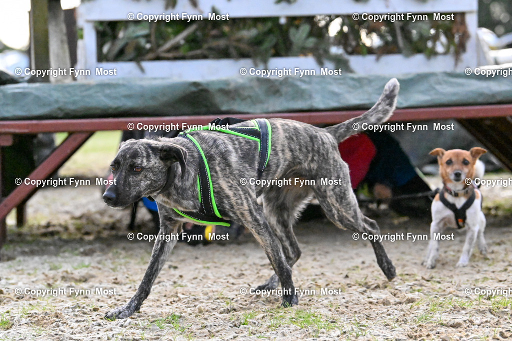 DSC_3894 | Hallo und herzlich Willkommen auf meiner Shop-Seite Fynn Most.

Ich wünsche Dir viel Spaß beim stöbern durch die Bilder, wenn Du Fragen hast oder Bilder vermisst, kannst du mir gerne eine Nachricht schreiben. - Realisiert mit Pictrs.com