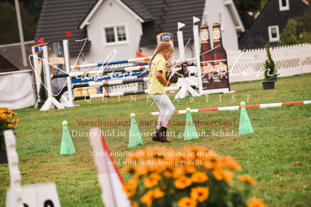 DSC_4567 | Pferde- und Turnierfotografie in Westsachsen. Pferdeportraits, Auftragszeichnungen und intuitive Kunst.