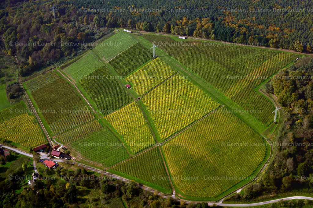 3491045 | Weinberg bei Dorfprozelten