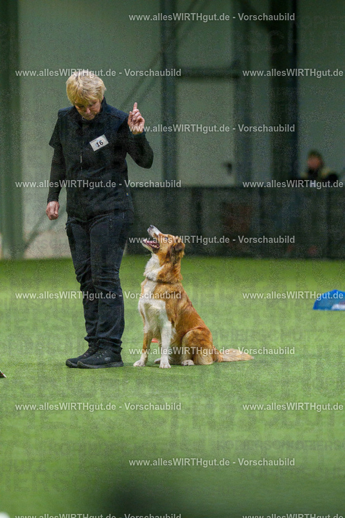 7R505480 | Professionelle Tierfotografie in Mönchengladbach von Daniel Wirth (allesWIRTHgut). Liebevolle & natürliche Bilder von Hunden & Katzen für unvergessliche Erinnerungen.
