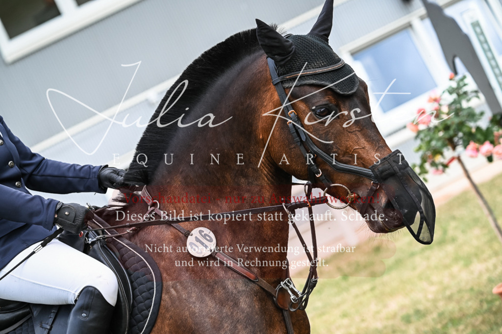 DSC_8245 | Pferde- und Turnierfotografie in Westsachsen. Pferdeportraits, Auftragszeichnungen und intuitive Kunst.