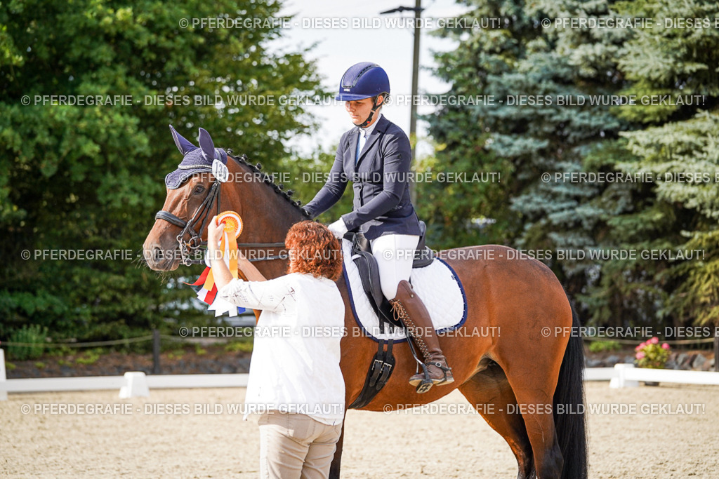 DSC07526 | Pferdegrafie