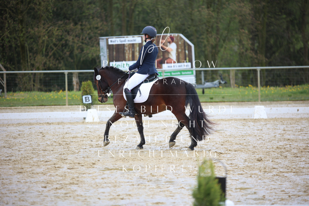 IMGT3862 | pl-fotografie