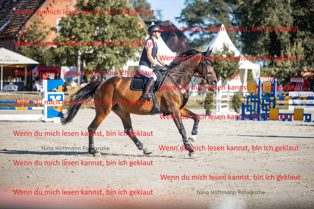 BK1A7426 | Turnierbilder Turnierfotos Nina Hüffmann Turnierfotografie Pferdefotografie Tierzeichnung Haustierzeichnung Pferdezeichnung Hundezeichnung Videograf  - Realisiert mit Pictrs.com