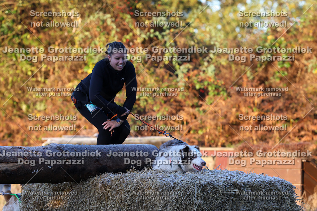 Dog Paparazzi - Strongdog 10-25-472 | Dog Paparazzi Jeanette Grottendiek Fotografie & Videografie - Realisiert mit Pictrs.com