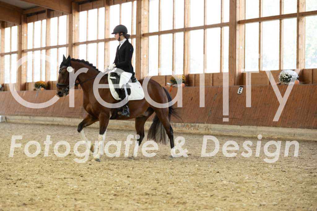 IMG_6171 | Creatify Fotografie