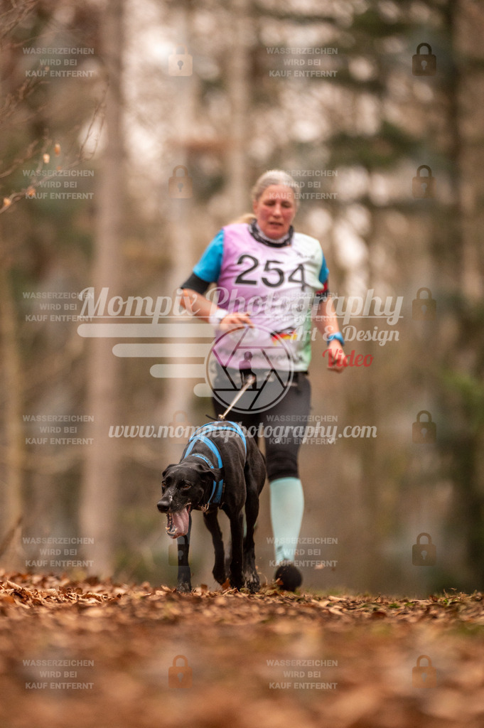 AKM_ST_2023_SAM_Run-156 | PayLife