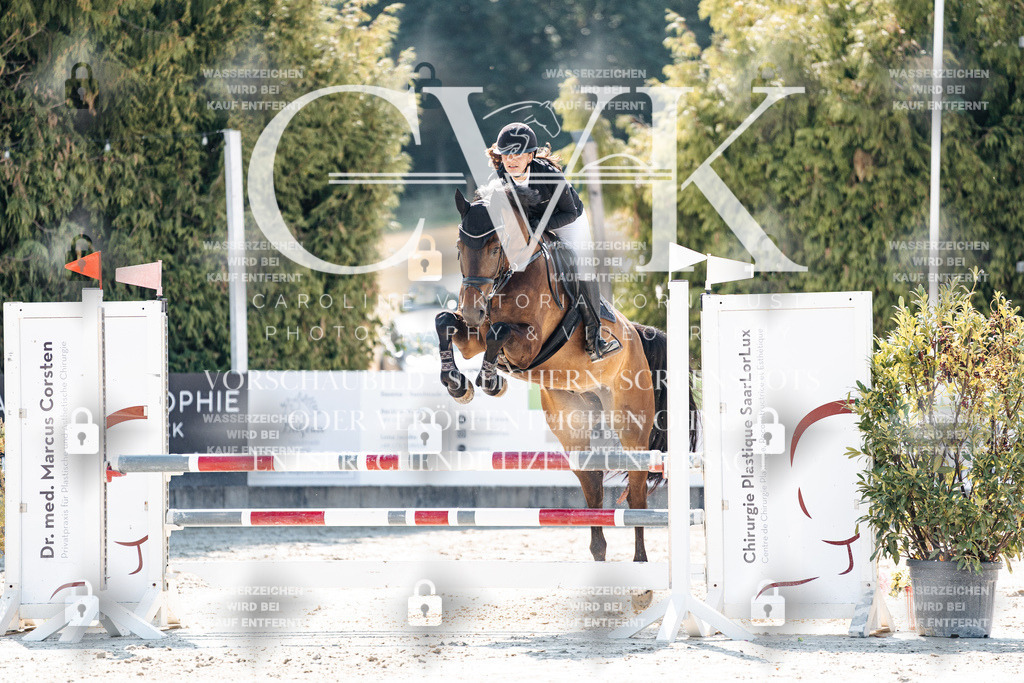 CK908259 | Turnierfotografie Pferdefotografie Trier Rheinland-Pfalz Pferdesport Reitsport Tierfotografie Sportfotografie Pferdevideo Pferdevideografie Equestrianvideography equestrianphotography  - Realisiert mit Pictrs.com