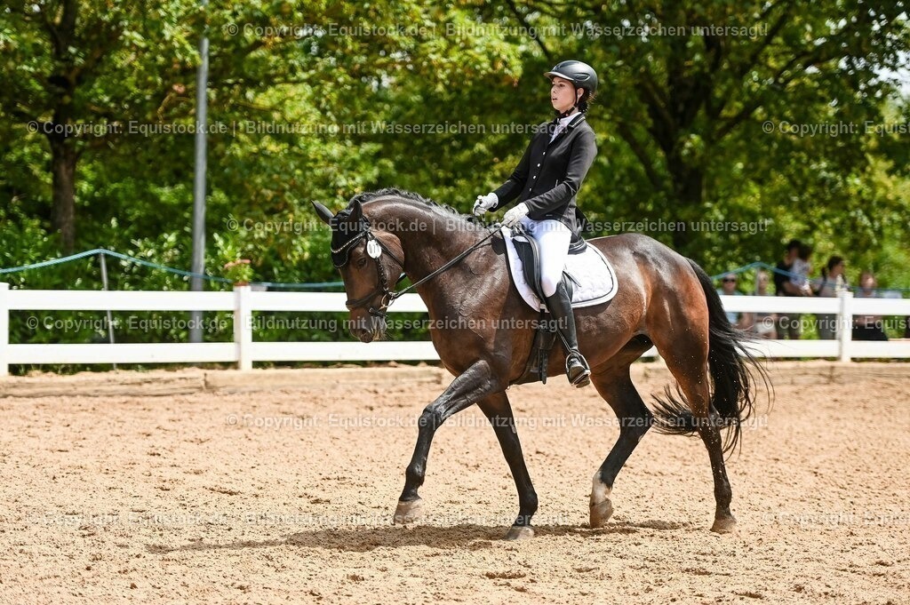 20230716_03_Dressurprfg. Kl.L - Tr._0584 | equistock